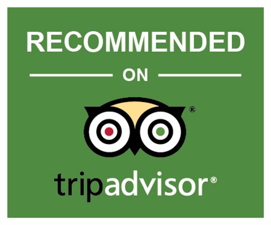 Red Theatre acrobatic show reviews